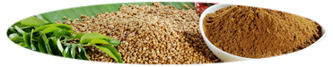 wijaya_product_1401708584