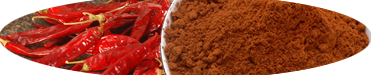 wijaya_product_1404472894