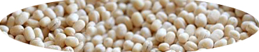 wijaya_product_1404475026